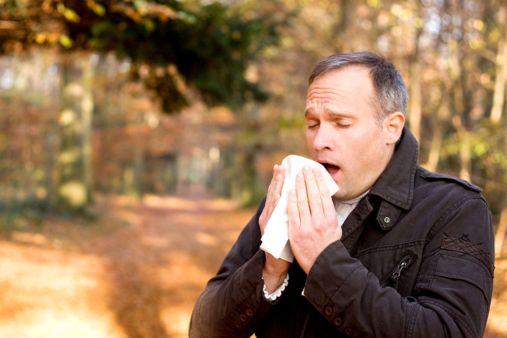 Tree pollen allergy &#8211; Symptoms, types, and management tips